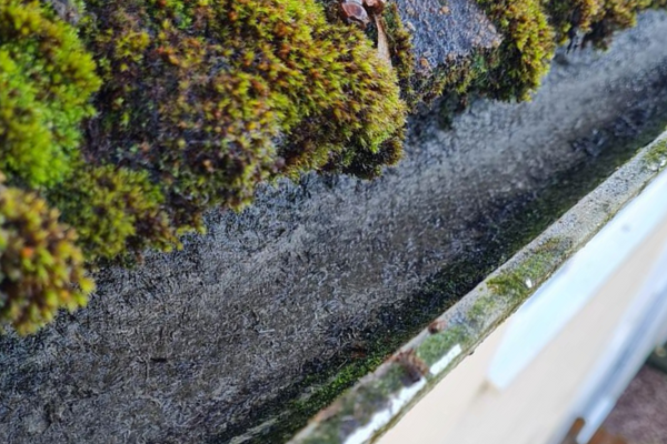 Gutter Clearing Service
